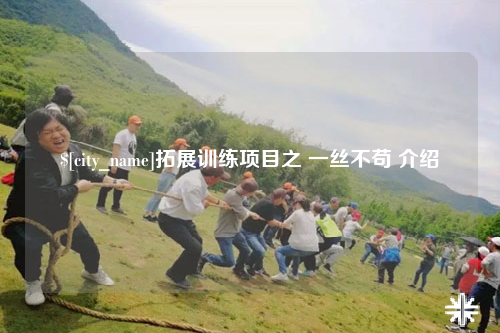 广元拓展训练项目之 一丝不苟 介绍